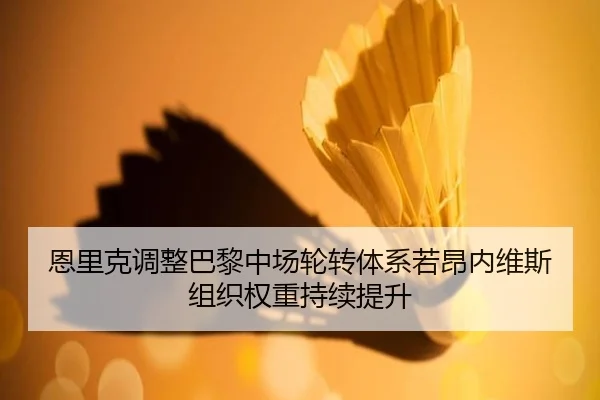 恩里克调整巴黎中场轮转体系若昂内维斯组织权重持续提升